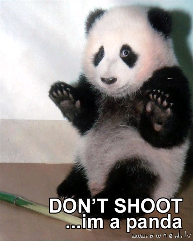 Don't shoot