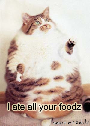 I ate all your foodz