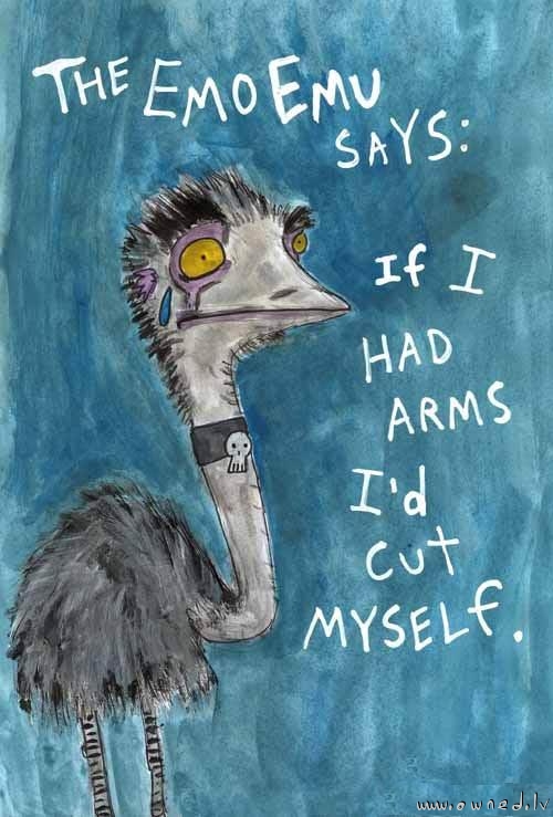 Emo Emu