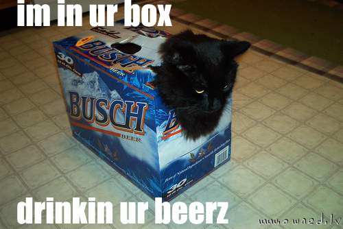 Im in ur box drinkin ur beerz