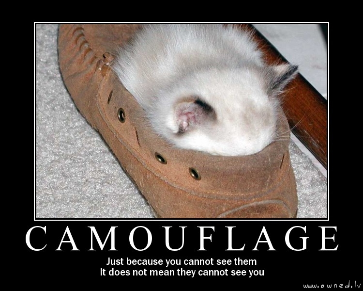 Camouflage