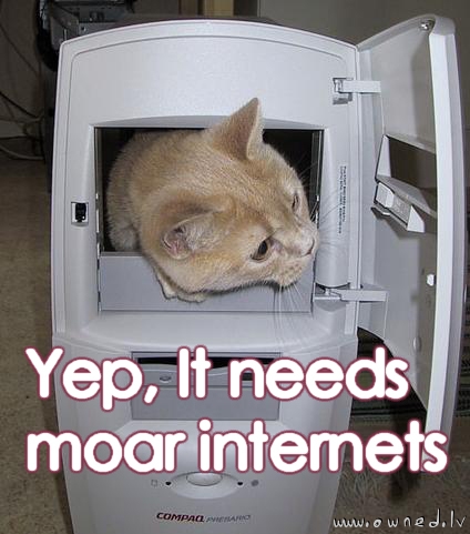 Moar internets