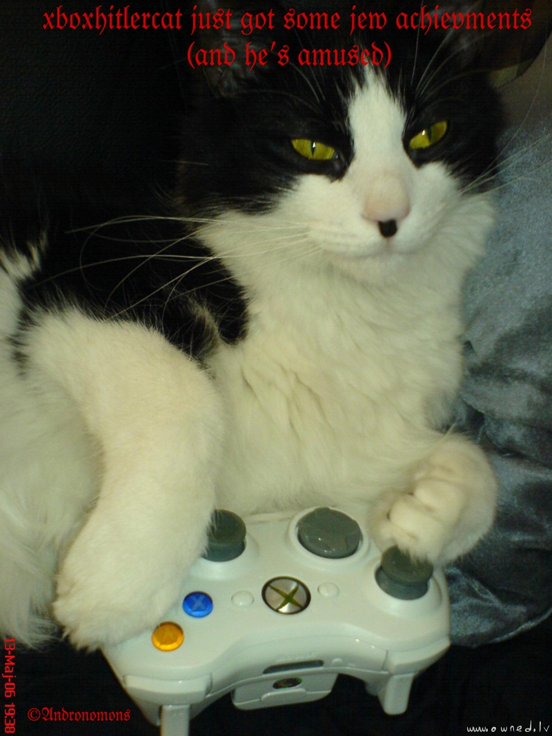 xbox hitlercat