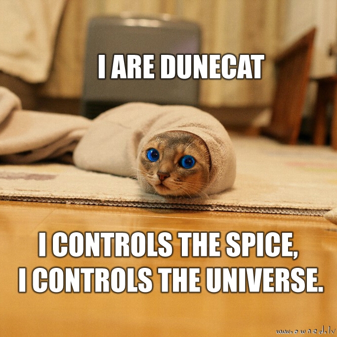 Dune