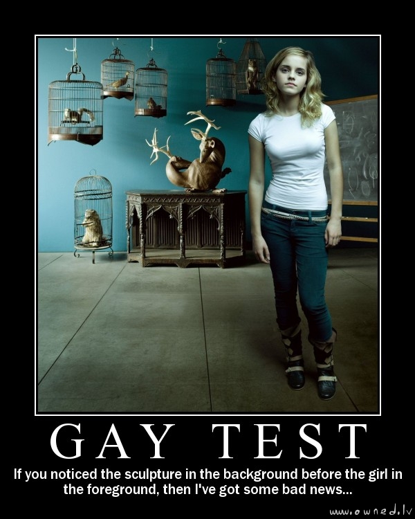 Gay test