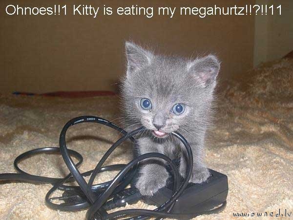 Kitty is eating my megahertz
