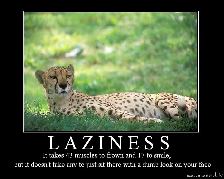 Laziness