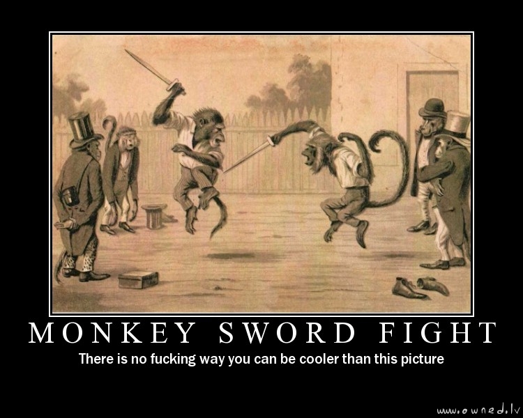 Monkey sword fight