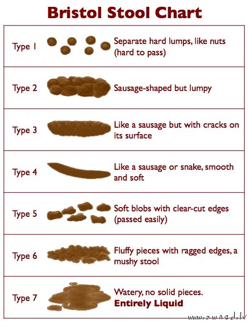 Stool Chart