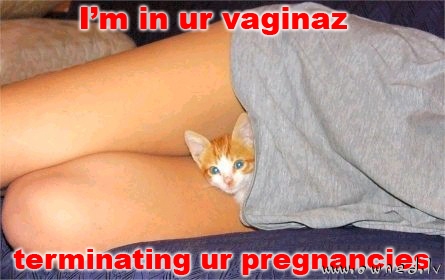 Im in ur vaginaz