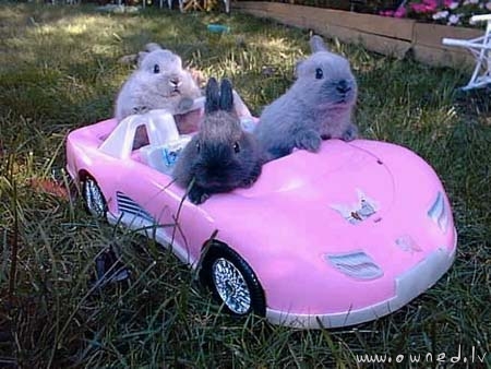 Hop in my car