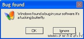 Bug found