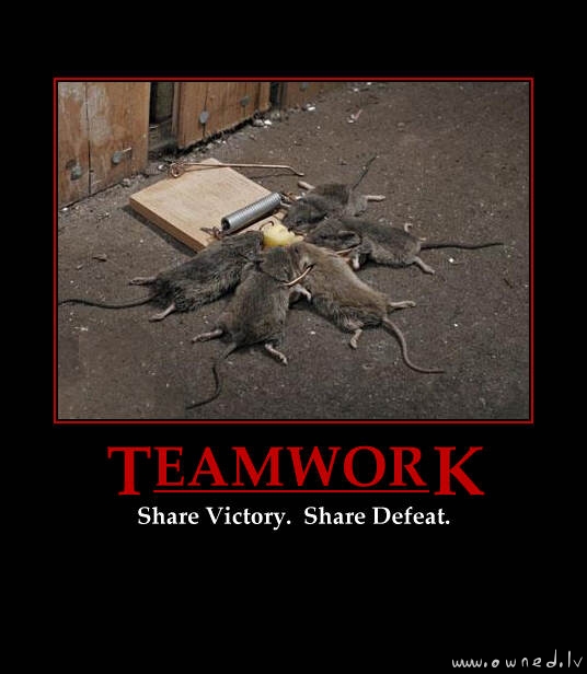 Teamwork