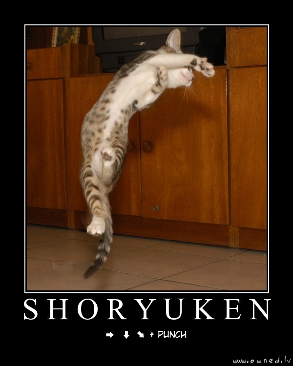 Shoryuken