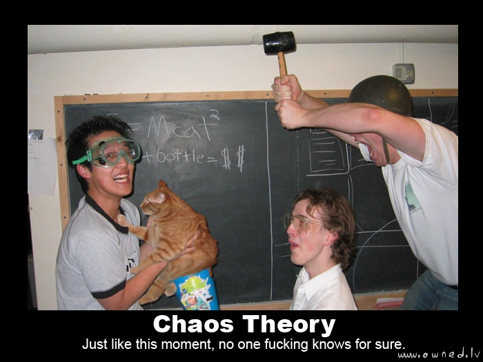 Chaos Theory