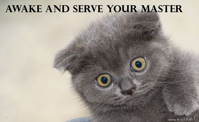 Awake and serve your master