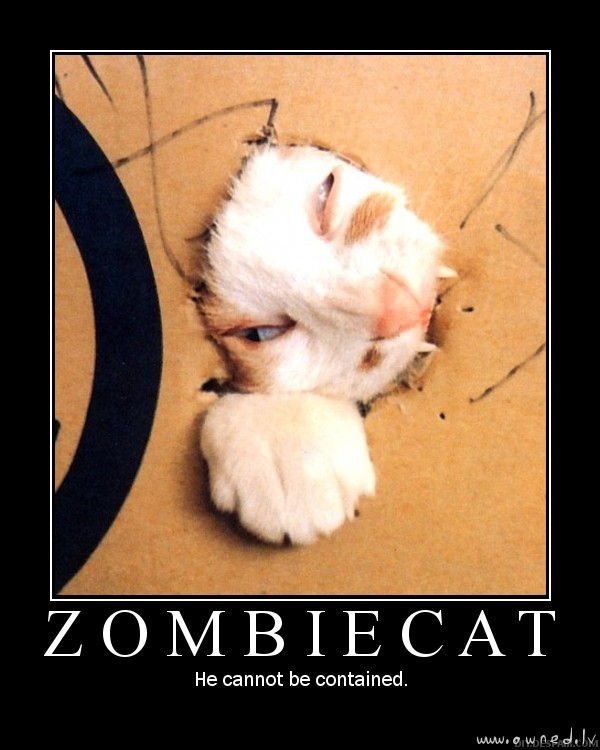 Zombiecat