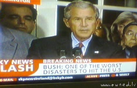 Bush