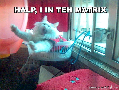 Halp, I in teh matrix