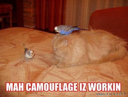 Camouflage