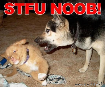 STFU noob