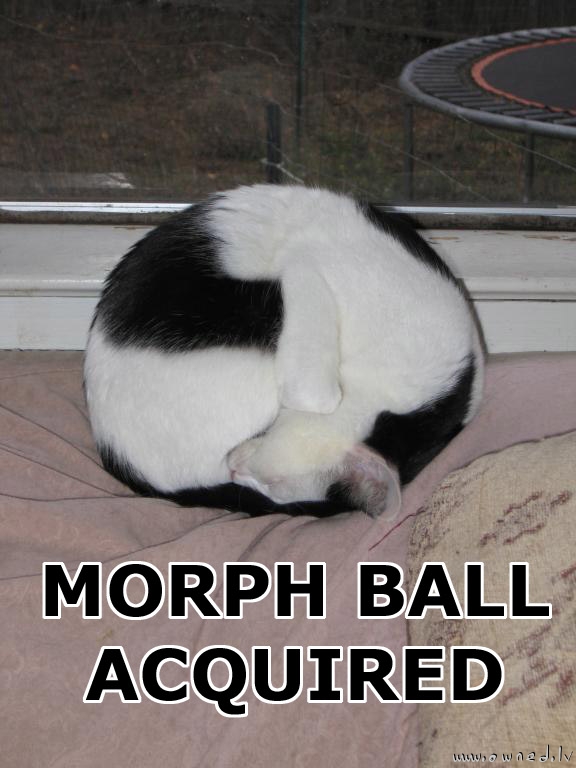 Morph ball