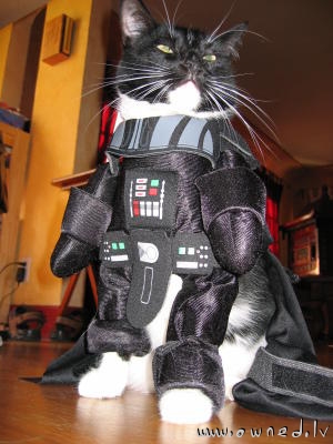 Darth Vader Cat