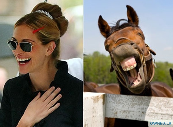 Celebrity Looks Like An Animal - Julia Roberts