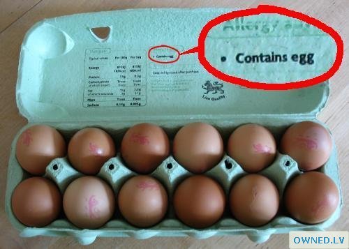 Egg Ingredients