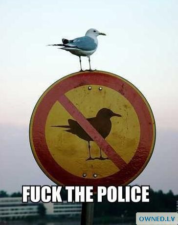 Fuck the Police