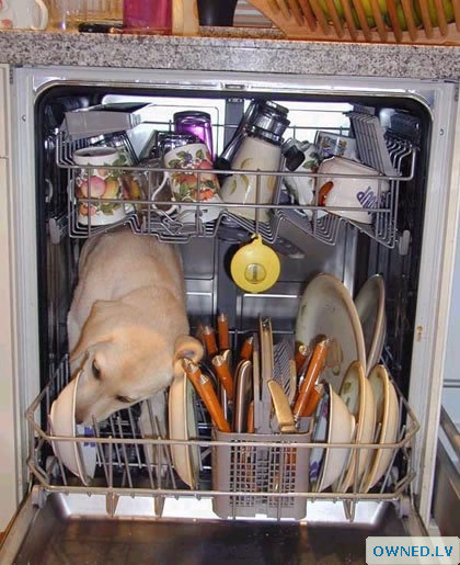 How Dishwashers Really Work