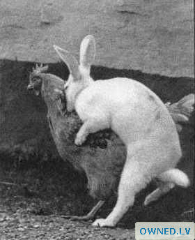 How Easter Eggs Are Made...