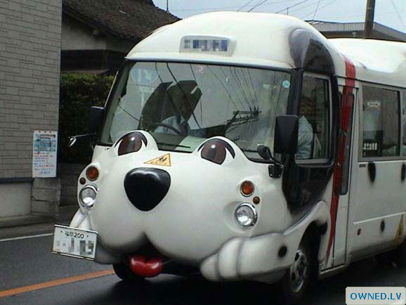 Is that a bus or a dog