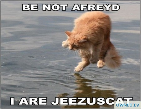 be not afreyd i are jeezuscat