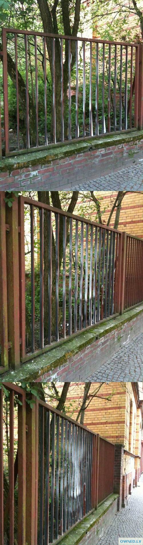 Just A Fence...Wait...OMG