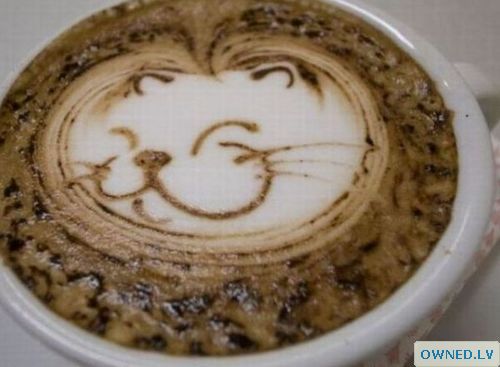 Kitty Latte