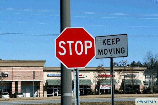 Move or stop?