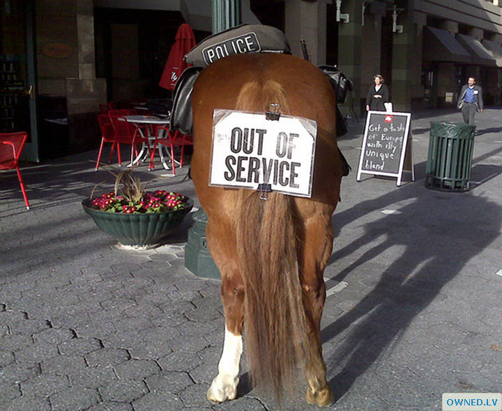 This horse is out of service :)