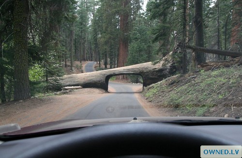 Sweet Tunnel