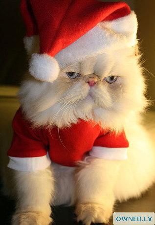 Unhappy Santa Claws