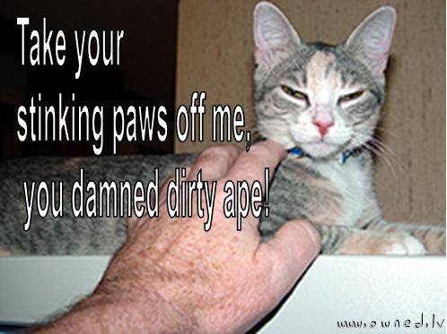 Take ur paws off !