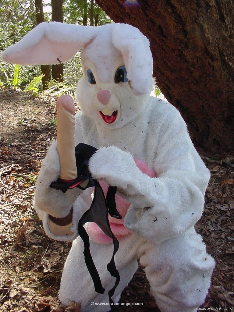 Rabbit with his toy