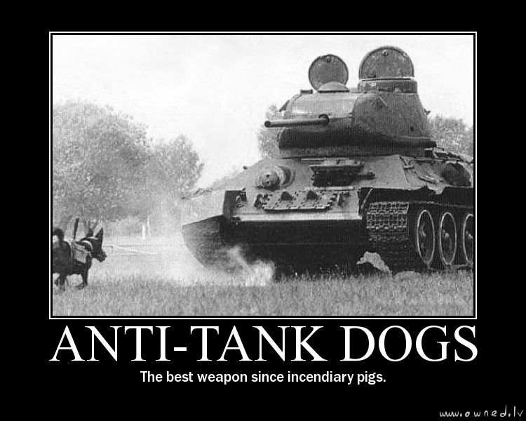 Anti-tank dogs