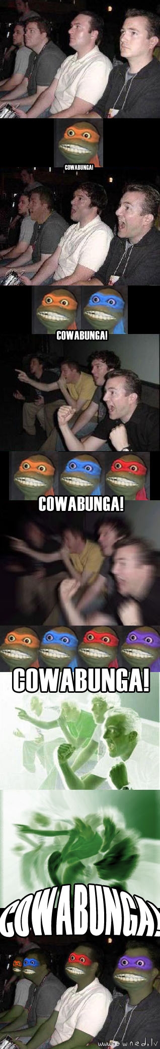 Cowabunga!