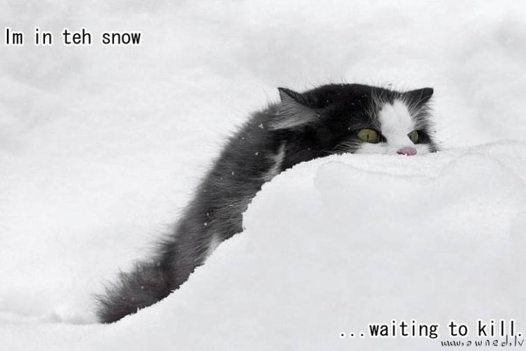 Im in teh snow ...