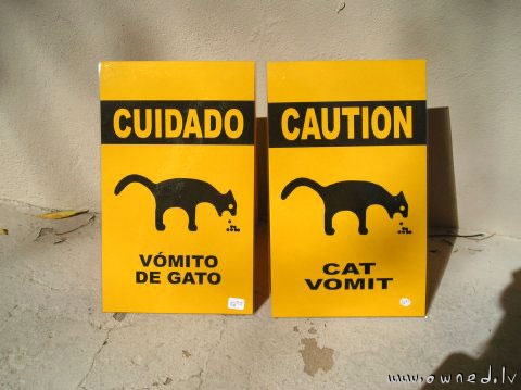 Caution : Cat vomit !