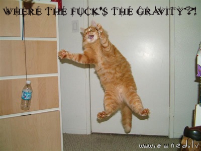 Gravity