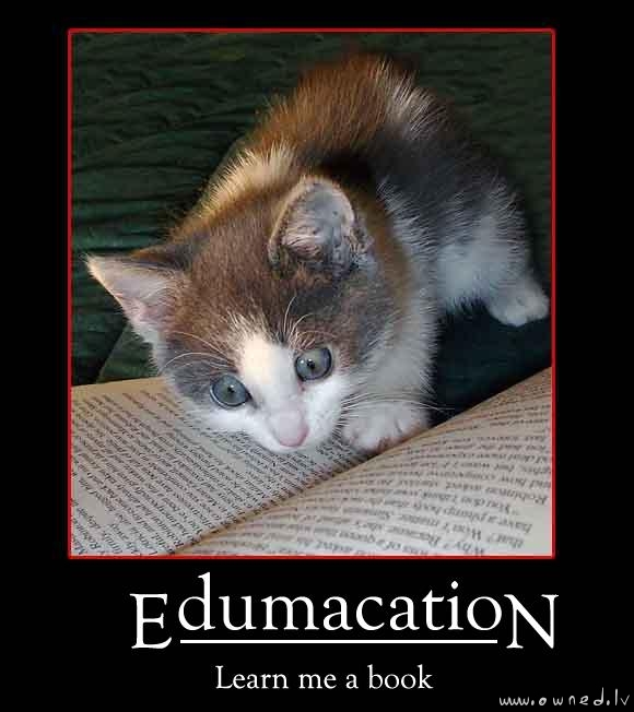 Edumacation