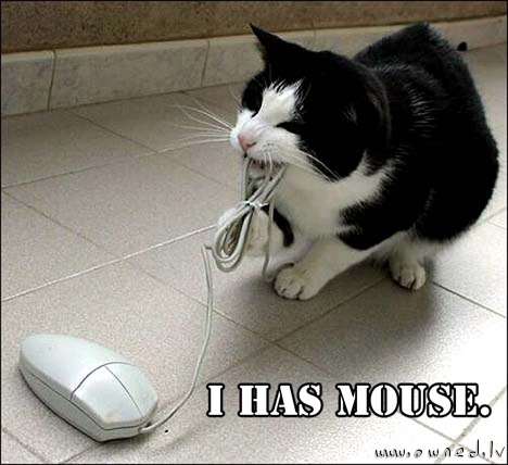 I has mouse