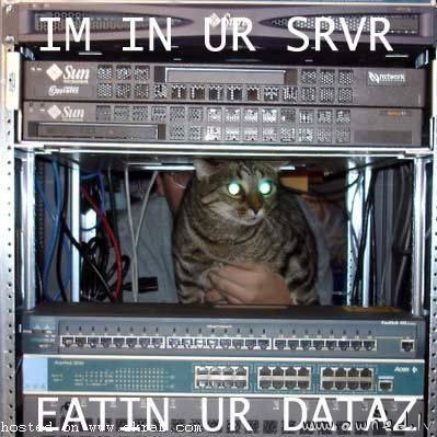 Eating your datz